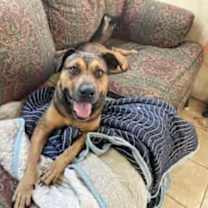 Thumbnail photo of Truly #4