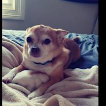 Thumbnail photo of Hank #1