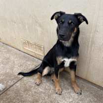 Thumbnail photo of Hitch #1