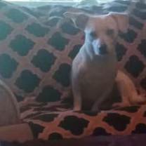 Thumbnail photo of Amy #4