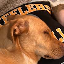 Thumbnail photo of Petunia #3