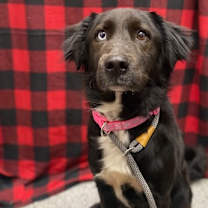 Thumbnail photo of Ellie #2