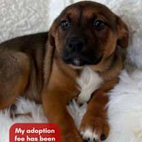 Thumbnail photo of Jack #1