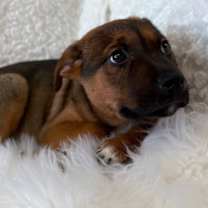 Thumbnail photo of Jack #2