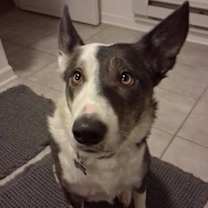 Thumbnail photo of Sunny #1