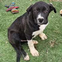 Thumbnail photo of Lyric #1