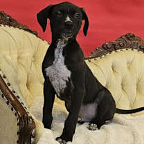 Thumbnail photo of Nick Caraway #2