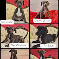 Thumbnail photo of Nick Caraway #4