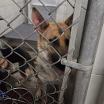 Thumbnail photo of Princess Leia #2