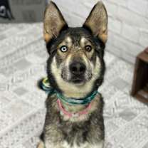 Thumbnail photo of Blakeley #1