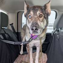 Thumbnail photo of Blakeley #2