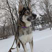 Thumbnail photo of Blakeley #4