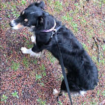 Thumbnail photo of Angie #2