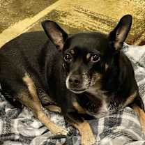 Thumbnail photo of Papa #1