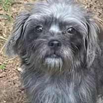 Thumbnail photo of Bubbles #1