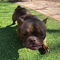 Thumbnail photo of Timber #2