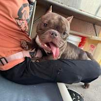 Thumbnail photo of Timber #4