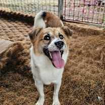 Thumbnail photo of Yeongbaek #3