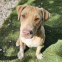 Thumbnail photo of Cade #2