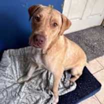 Thumbnail photo of Cade #4