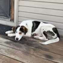 Thumbnail photo of Tony #4