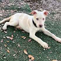 Thumbnail photo of Horchata #2