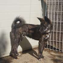 Thumbnail photo of Duffy #4