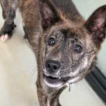 Thumbnail photo of Duffy #1