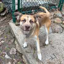 Thumbnail photo of Kingston #1