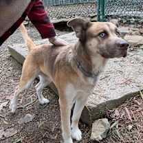 Thumbnail photo of Kingston #2