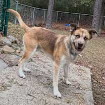 Thumbnail photo of Kingston #3