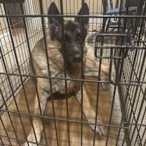 Thumbnail photo of King #2