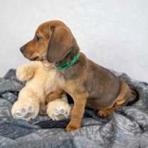 Thumbnail photo of John Boy #4