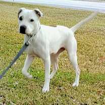 Thumbnail photo of Minti #2