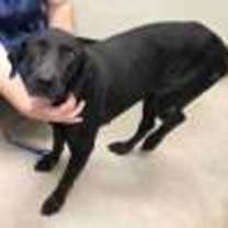 Thumbnail photo of Jodie #2