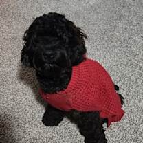 Thumbnail photo of Washington Edward #1