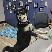 Thumbnail photo of Agnes #3