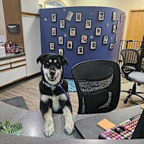 Thumbnail photo of Agnes #1