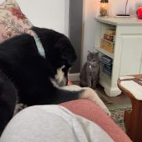 Thumbnail photo of Agnes #4