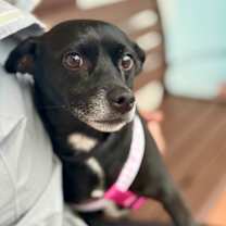 Thumbnail photo of King #1