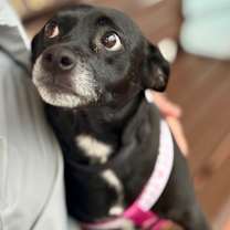 Thumbnail photo of King #4