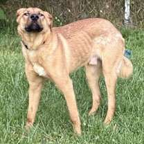 Thumbnail photo of Bandit #1