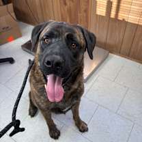 Thumbnail photo of Stark #2