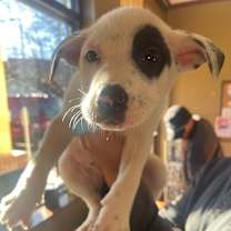 Thumbnail photo of Terry #3