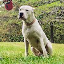 Thumbnail photo of Roo #2