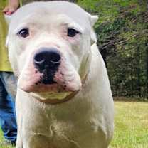 Thumbnail photo of Roo #3