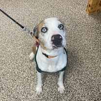 Thumbnail photo of Penny #1