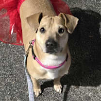 Thumbnail photo of Sunshine #1