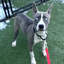 Thumbnail photo of Demi #1