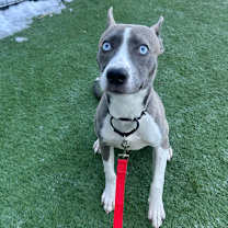 Thumbnail photo of Demi #2